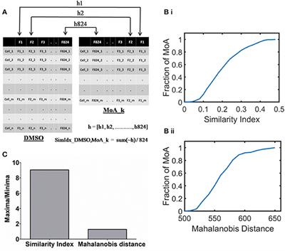 High Content Analysis Across Signaling Modulation Treatments for Subcellular Target Identification Reveals Heterogeneity in Cellular Response